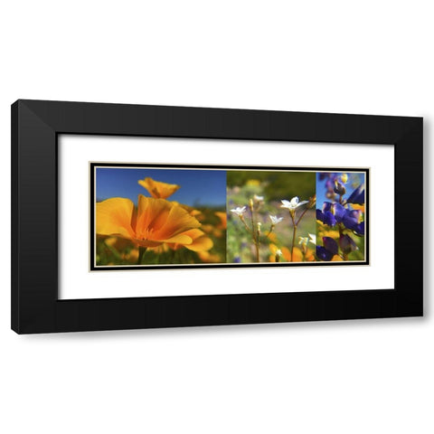 Wildflower Collage Black Modern Wood Framed Art Print with Double Matting by Popcorn
