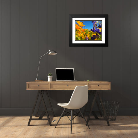 Wildflower III Black Modern Wood Framed Art Print with Double Matting by Popcorn