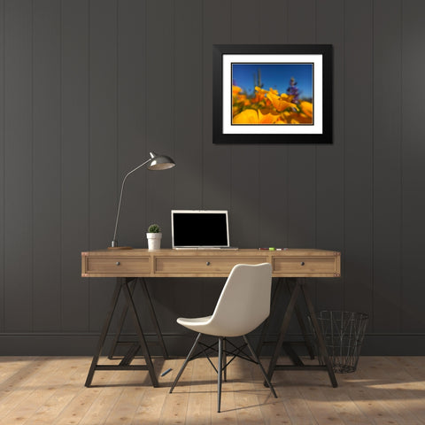 Wildflower VIII Black Modern Wood Framed Art Print with Double Matting by Popcorn