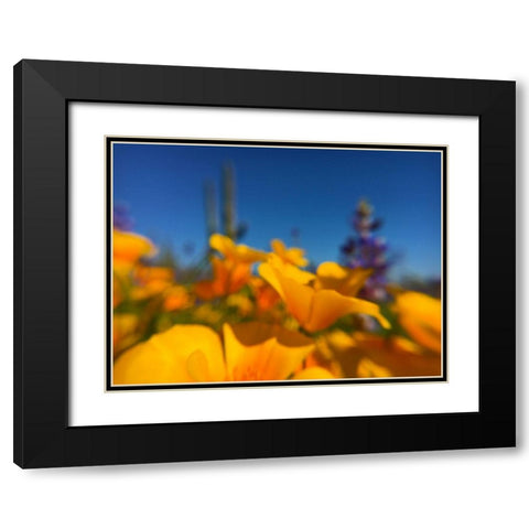 Wildflower VIII Black Modern Wood Framed Art Print with Double Matting by Popcorn