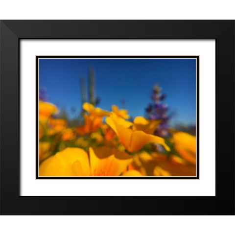 Wildflower VIII Black Modern Wood Framed Art Print with Double Matting by Popcorn