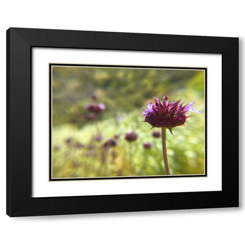 Sage I Black Modern Wood Framed Art Print with Double Matting by Popcorn