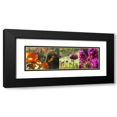 Wildflowers Collage II Black Modern Wood Framed Art Print with Double Matting by Popcorn