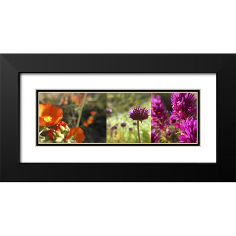 Wildflowers Collage II Black Modern Wood Framed Art Print with Double Matting by Popcorn