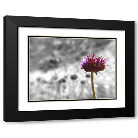 Sage I: BandW Black Modern Wood Framed Art Print with Double Matting by Popcorn