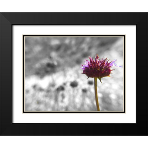 Sage I: BandW Black Modern Wood Framed Art Print with Double Matting by Popcorn