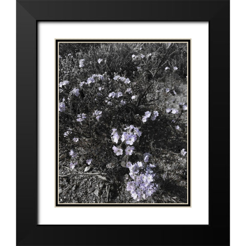 Wildflowers BandW I Black Modern Wood Framed Art Print with Double Matting by Popcorn