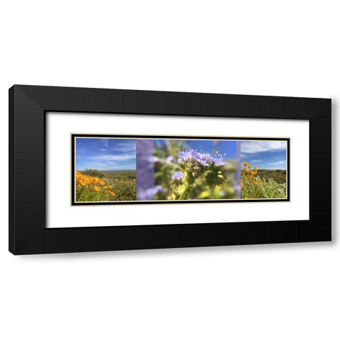 Wildflowers Collage IV Black Modern Wood Framed Art Print with Double Matting by Popcorn