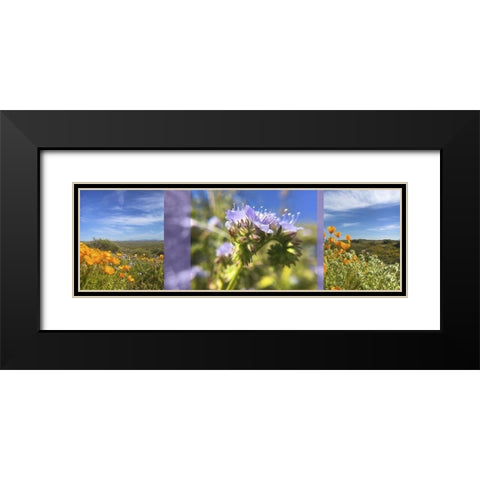 Wildflowers Collage IV Black Modern Wood Framed Art Print with Double Matting by Popcorn