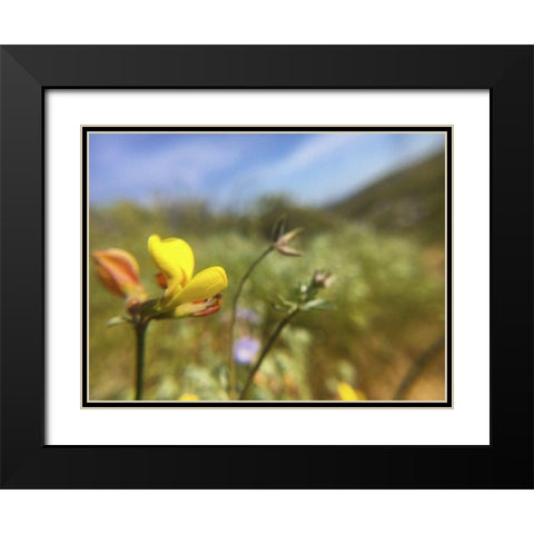 Wildflowers XXX Black Modern Wood Framed Art Print with Double Matting by Popcorn