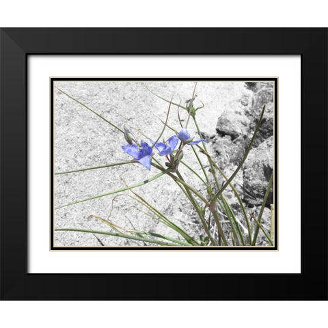 Wildflowers Collage I Black Modern Wood Framed Art Print with Double Matting by Popcorn