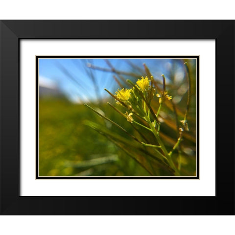 Mustard Black Modern Wood Framed Art Print with Double Matting by Popcorn