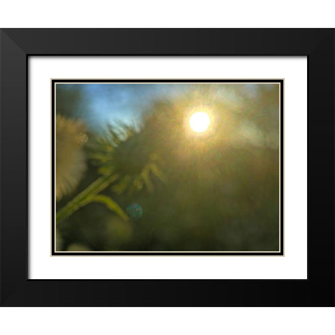 Golden Hour I Black Modern Wood Framed Art Print with Double Matting by Popcorn