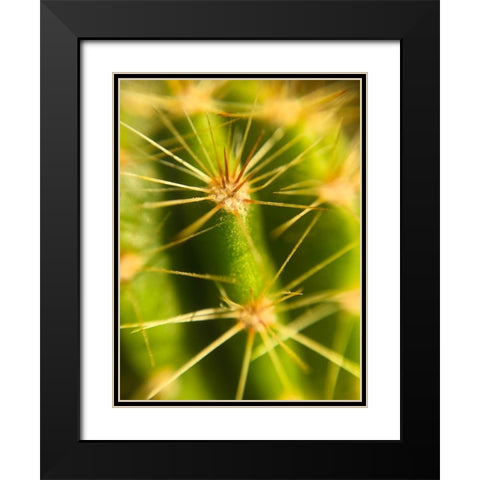 Cactus Black Modern Wood Framed Art Print with Double Matting by Popcorn