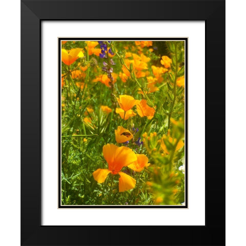 Wildflowers XLIV Black Modern Wood Framed Art Print with Double Matting by Popcorn