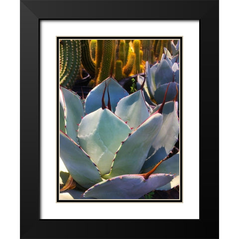 Mescal Agave C Black Modern Wood Framed Art Print with Double Matting by Tenoever, William