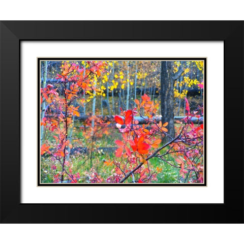 Fall Somewhere Black Modern Wood Framed Art Print with Double Matting by Tenoever, William
