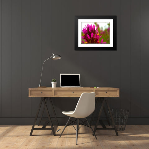 Owl Clover Black Modern Wood Framed Art Print with Double Matting by Tenoever, William