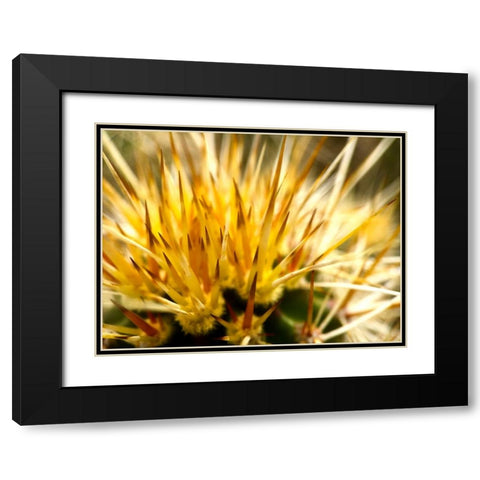 HedgehogCactus Black Modern Wood Framed Art Print with Double Matting by Tenoever, William