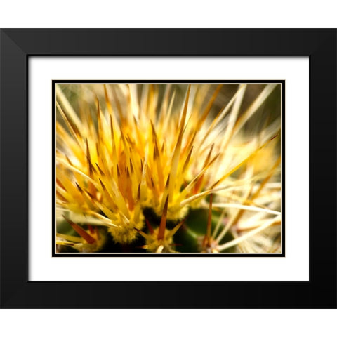 HedgehogCactus Black Modern Wood Framed Art Print with Double Matting by Tenoever, William