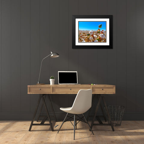 CottonFields1 Black Modern Wood Framed Art Print with Double Matting by Tenoever, William