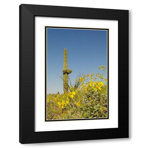 Desert Scape 3 Black Modern Wood Framed Art Print with Double Matting by Popcorn