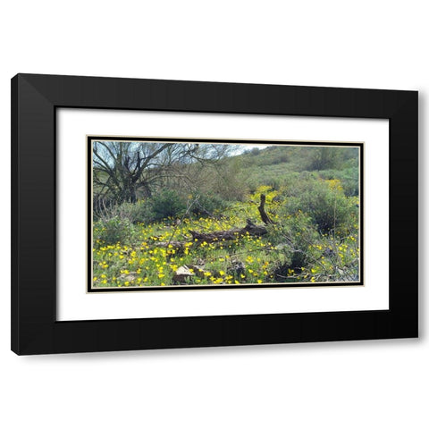 Desert Scape 4 Black Modern Wood Framed Art Print with Double Matting by Popcorn