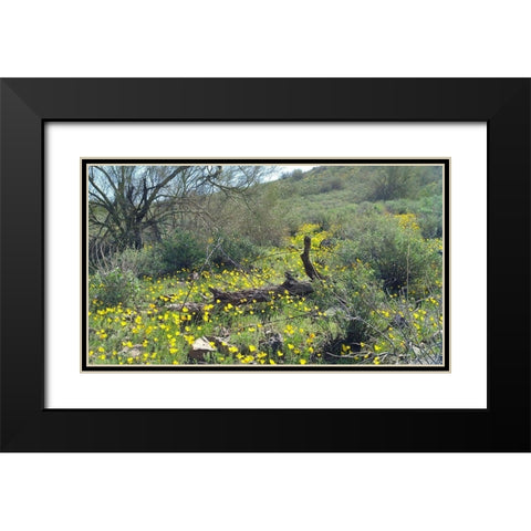 Desert Scape 4 Black Modern Wood Framed Art Print with Double Matting by Popcorn