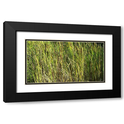 Roper Lake II: Grasses I Black Modern Wood Framed Art Print with Double Matting by Popcorn