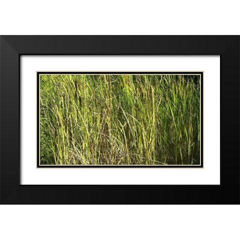 Roper Lake II: Grasses I Black Modern Wood Framed Art Print with Double Matting by Popcorn
