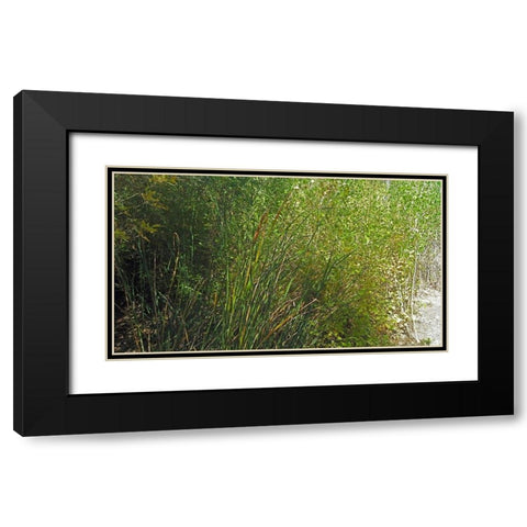 Roper Lake IV: Grasses III Black Modern Wood Framed Art Print with Double Matting by Popcorn