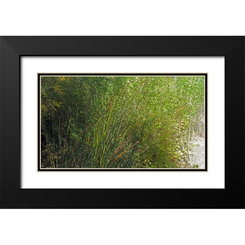 Roper Lake IV: Grasses III Black Modern Wood Framed Art Print with Double Matting by Popcorn