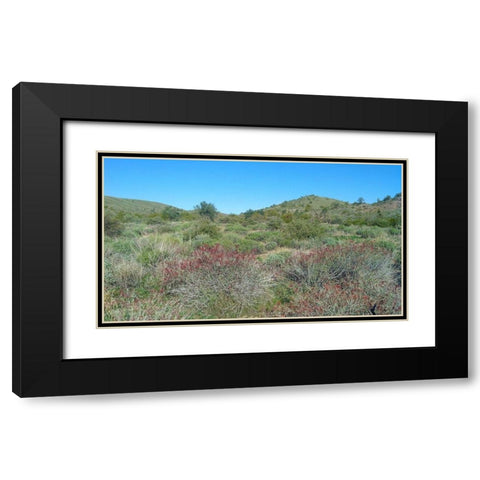 Desert Scape 5: Penstemon Black Modern Wood Framed Art Print with Double Matting by Popcorn