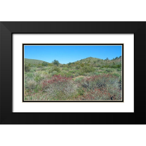 Desert Scape 5: Penstemon Black Modern Wood Framed Art Print with Double Matting by Popcorn
