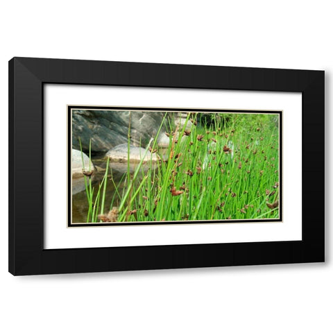 Agua Fria National Monument Black Modern Wood Framed Art Print with Double Matting by Popcorn