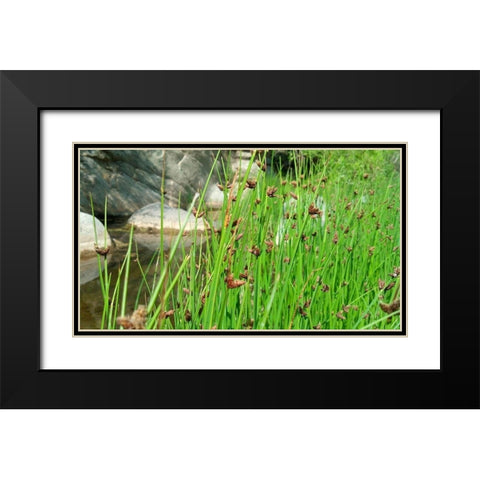 Agua Fria National Monument Black Modern Wood Framed Art Print with Double Matting by Popcorn