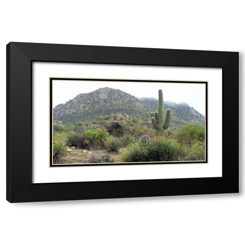 Granite Mountain Black Modern Wood Framed Art Print with Double Matting by Popcorn