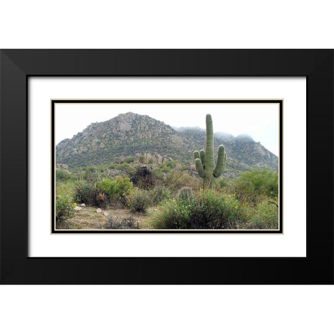 Granite Mountain Black Modern Wood Framed Art Print with Double Matting by Popcorn