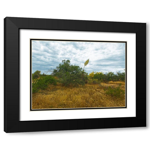 Desert Scape 6 Black Modern Wood Framed Art Print with Double Matting by Popcorn