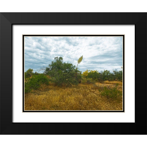 Desert Scape 6 Black Modern Wood Framed Art Print with Double Matting by Popcorn