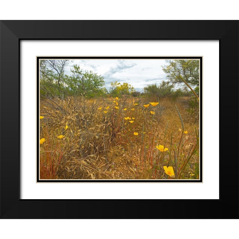 Desert Scape 7 Black Modern Wood Framed Art Print with Double Matting by Popcorn