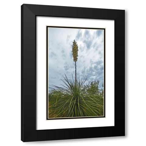 Desert Scape 8 Black Modern Wood Framed Art Print with Double Matting by Popcorn