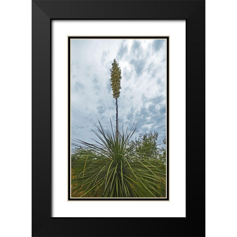 Desert Scape 8 Black Modern Wood Framed Art Print with Double Matting by Popcorn