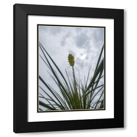 Desert Scape 9 Black Modern Wood Framed Art Print with Double Matting by Popcorn