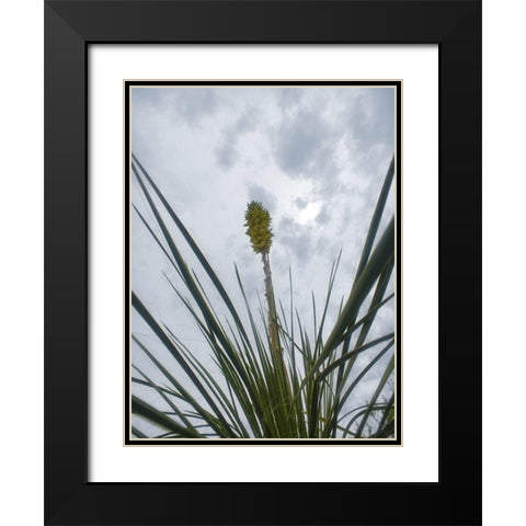 Desert Scape 9 Black Modern Wood Framed Art Print with Double Matting by Popcorn