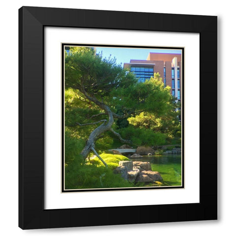Japanese Friendship Garden I Black Modern Wood Framed Art Print with Double Matting by Tenoever, William