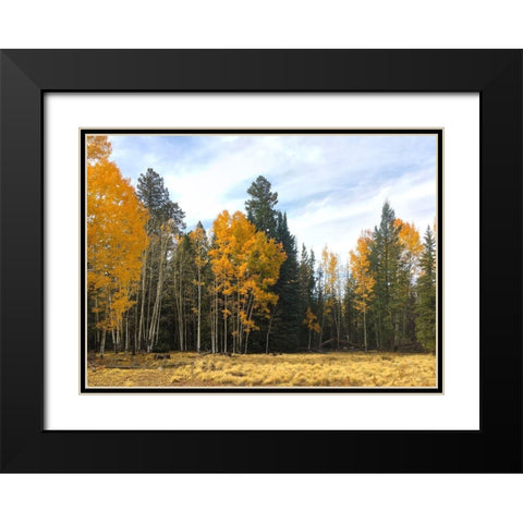 Sunrise Park in Fall 1 Black Modern Wood Framed Art Print with Double Matting by Tenoever, William