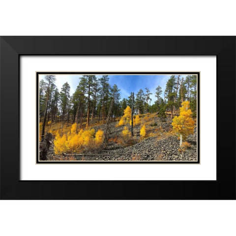 Greer in Fall 7 Black Modern Wood Framed Art Print with Double Matting by Tenoever, William