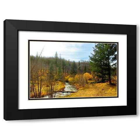 Greer in Fall 9 Black Modern Wood Framed Art Print with Double Matting by Tenoever, William