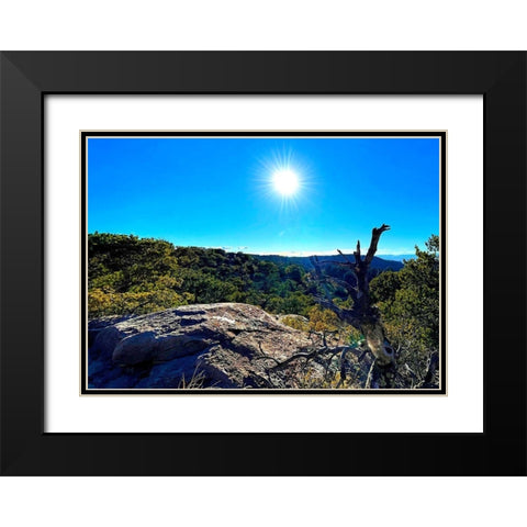 Chiricahua 4 Black Modern Wood Framed Art Print with Double Matting by Tenoever, William